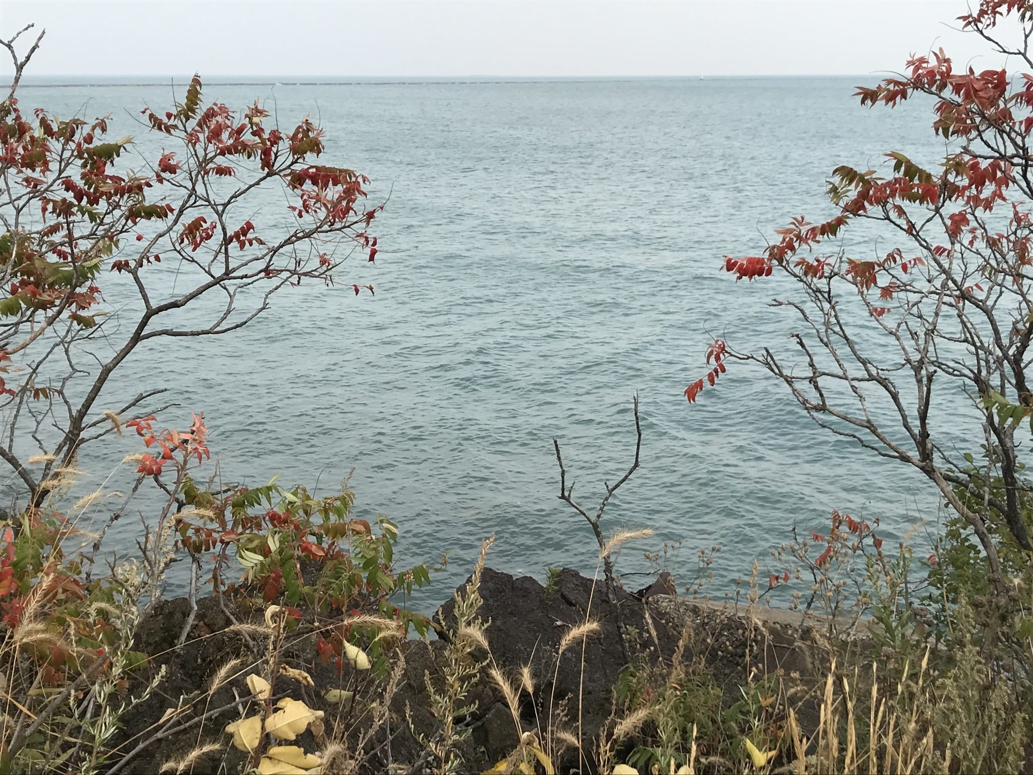 South Shore Nature Sanctuary
